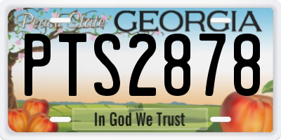 GA license plate PTS2878
