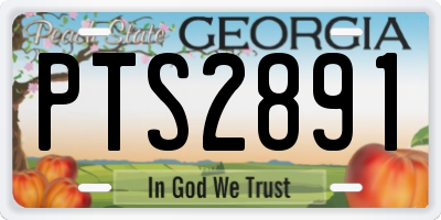 GA license plate PTS2891