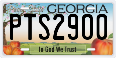 GA license plate PTS2900