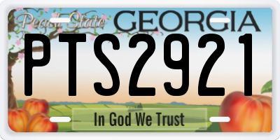 GA license plate PTS2921