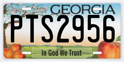 GA license plate PTS2956