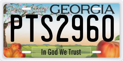 GA license plate PTS2960
