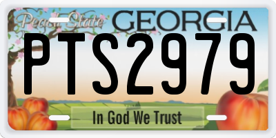 GA license plate PTS2979