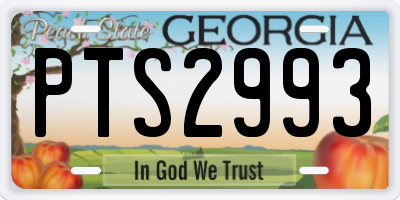 GA license plate PTS2993