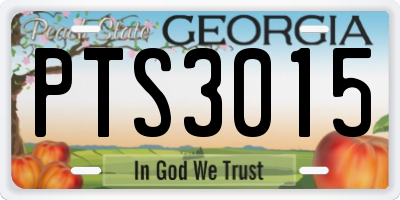 GA license plate PTS3015