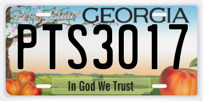 GA license plate PTS3017