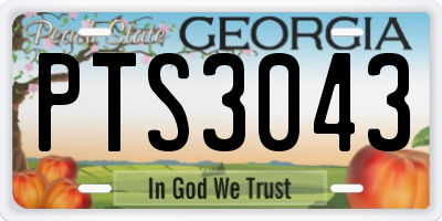 GA license plate PTS3043
