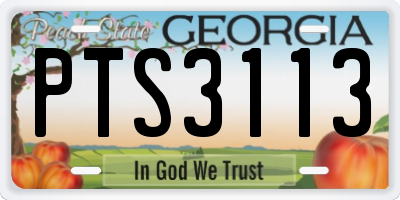 GA license plate PTS3113
