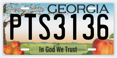 GA license plate PTS3136