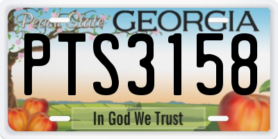 GA license plate PTS3158