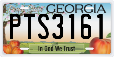 GA license plate PTS3161