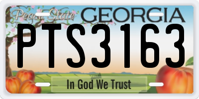 GA license plate PTS3163