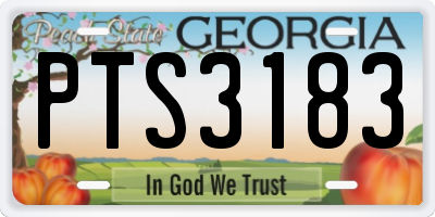 GA license plate PTS3183