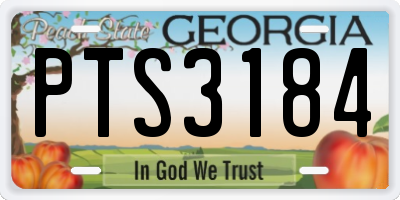 GA license plate PTS3184