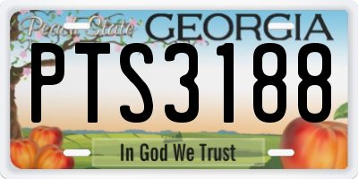 GA license plate PTS3188