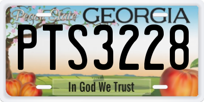 GA license plate PTS3228