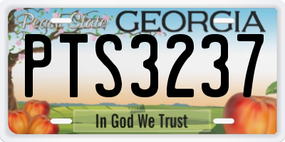 GA license plate PTS3237