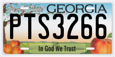 GA license plate PTS3266