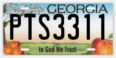 GA license plate PTS3311