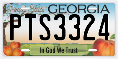 GA license plate PTS3324