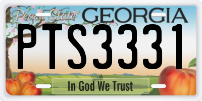 GA license plate PTS3331