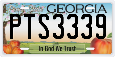 GA license plate PTS3339