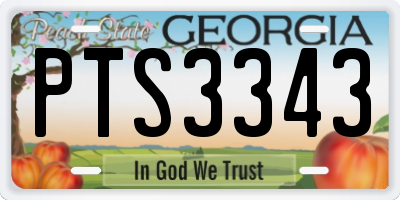 GA license plate PTS3343
