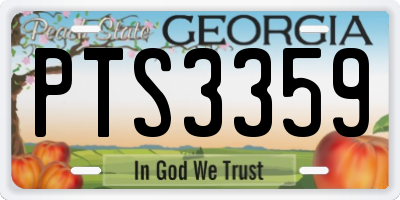 GA license plate PTS3359