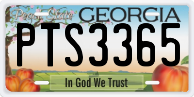 GA license plate PTS3365