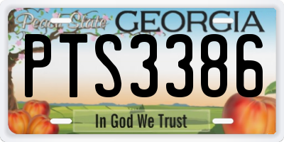 GA license plate PTS3386