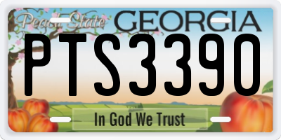 GA license plate PTS3390