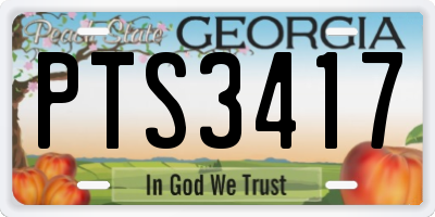 GA license plate PTS3417