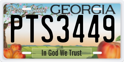 GA license plate PTS3449