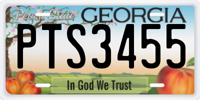 GA license plate PTS3455