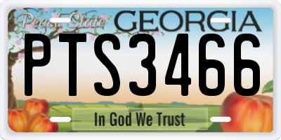 GA license plate PTS3466