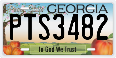 GA license plate PTS3482