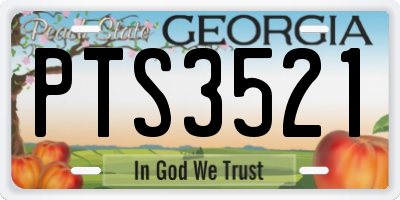 GA license plate PTS3521