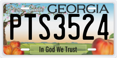 GA license plate PTS3524