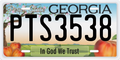 GA license plate PTS3538