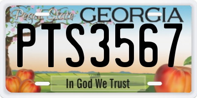 GA license plate PTS3567