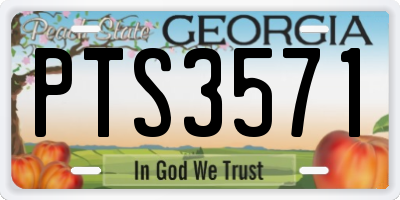 GA license plate PTS3571