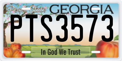 GA license plate PTS3573