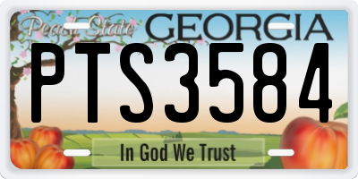 GA license plate PTS3584