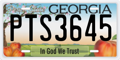 GA license plate PTS3645