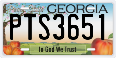 GA license plate PTS3651