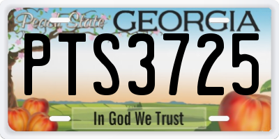 GA license plate PTS3725