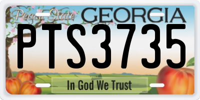 GA license plate PTS3735