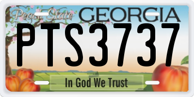 GA license plate PTS3737