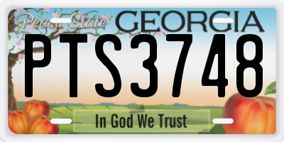 GA license plate PTS3748