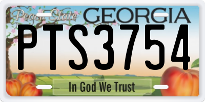 GA license plate PTS3754